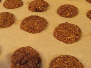Quinoa Cookies