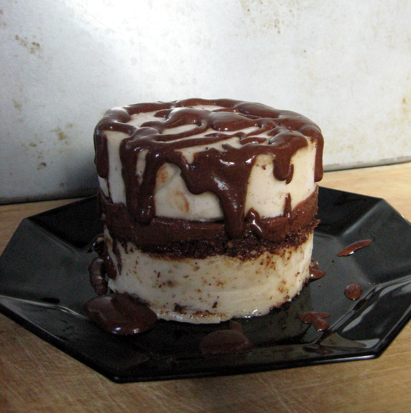 Banana Chocolate Ice Cream Cake